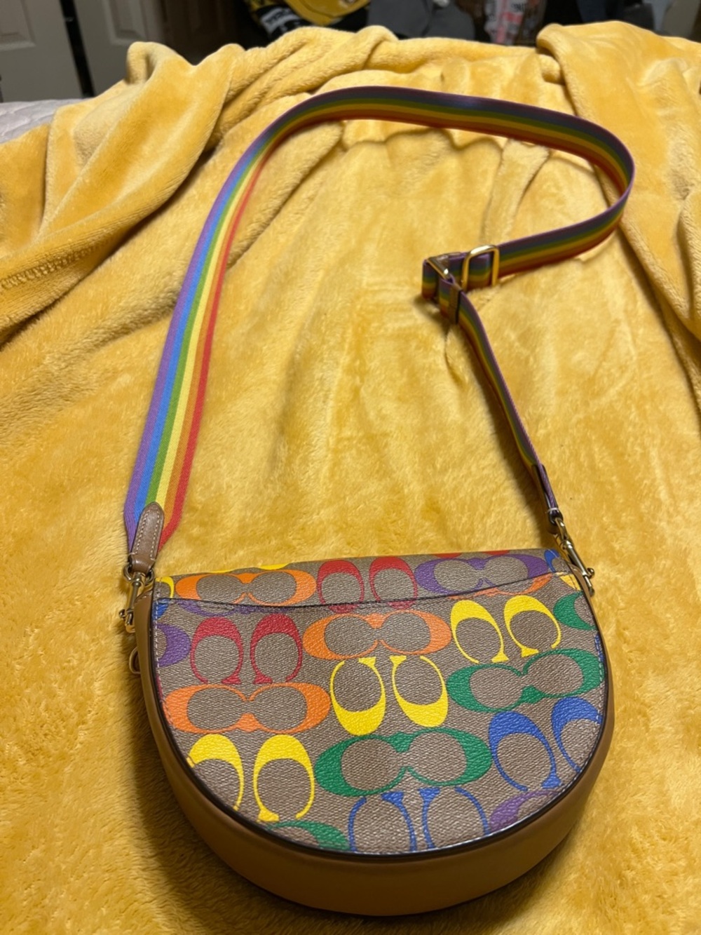 Coach Rainbow Signature Saddle Crossbody Bag - Brown with Multicolor Accents - Picture 2 of 4